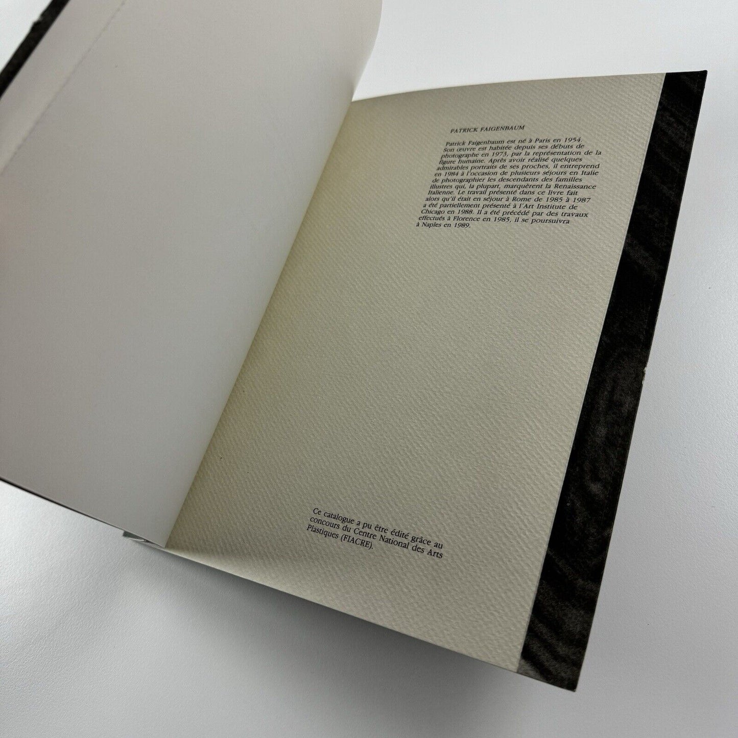 Patrick Faigenbaum. Tableaux Romains | Musee d’art Contemporain de Nimes 1989