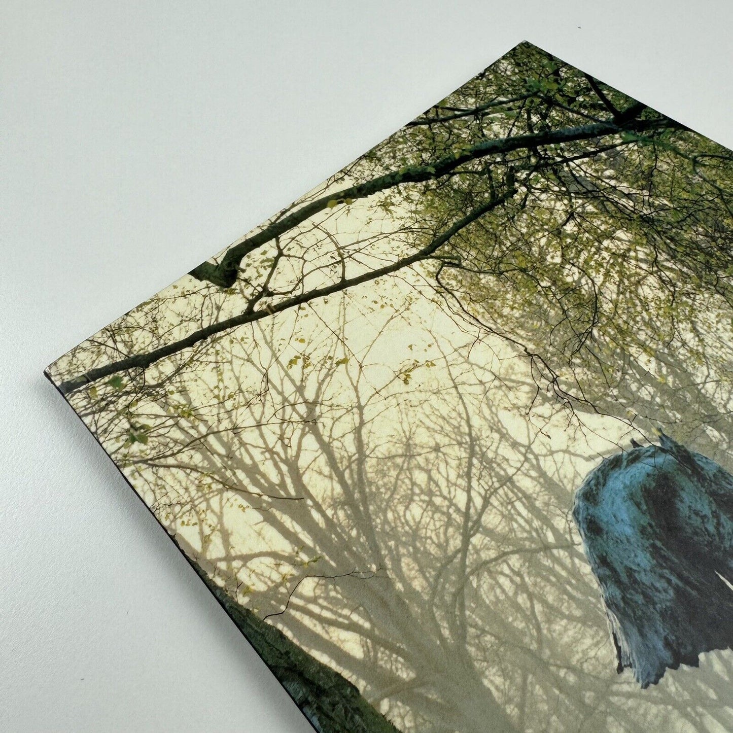 Nic Fiddian-Green. Recent Sculpture | Exhibition catalogue | Sladmore Gallery 1999