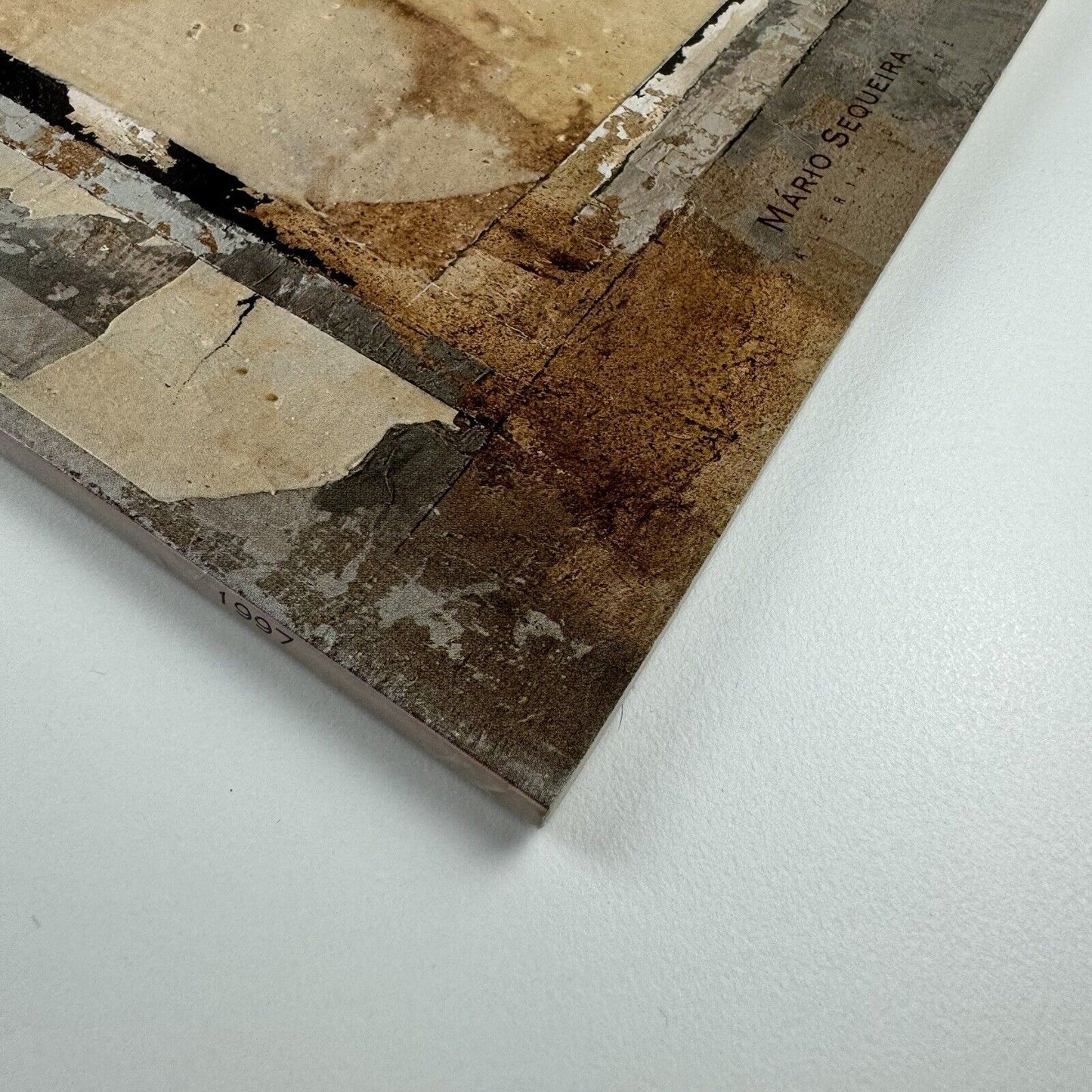 Luís Coquenão. Pintura | Galeria Mário Sequira, Portugal | Exhibition catalogue, 1997