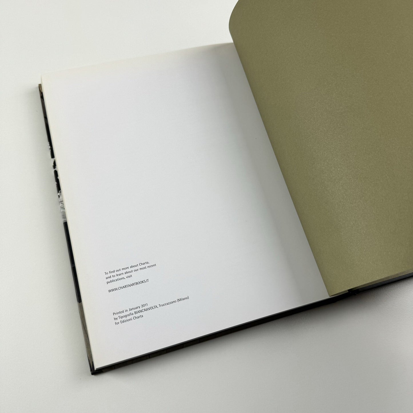 Regina Silveira | Text by Luciana Brito, Adolfo Montejo Navas et al | Charta, 2011