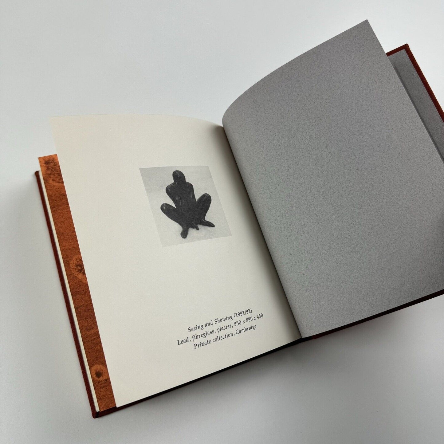 Antony Gormley Field for the British Isles 1996 |Edited by Oriel Mostyn | Signed by the artist
