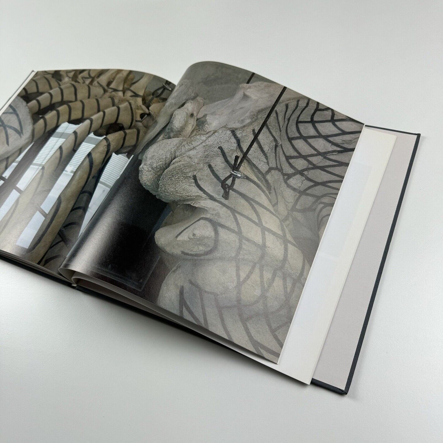 Gabriel Orozco. Twelve Paintings and a Drawing | White Cube, 2006