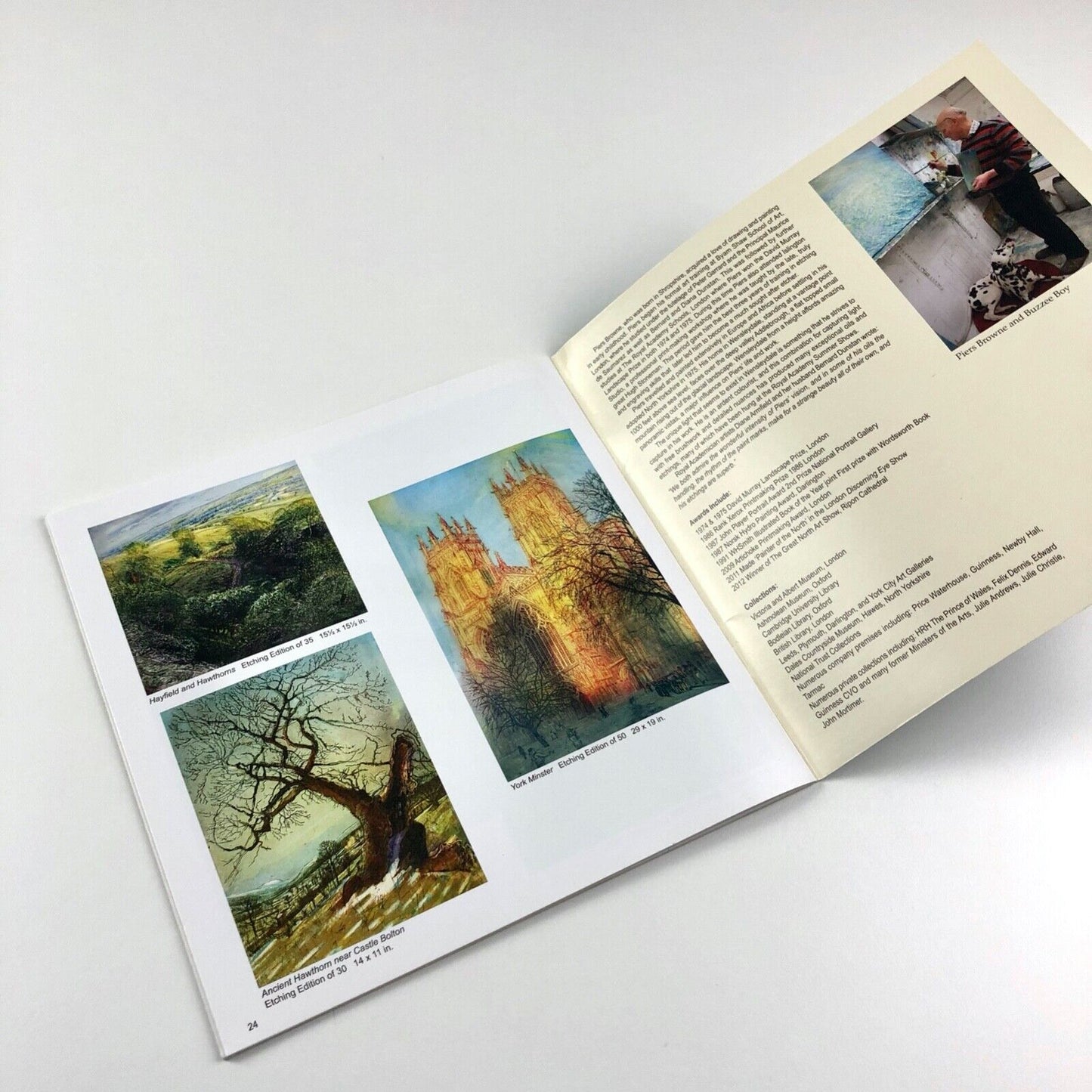 Piers Browne | Walker Galleries Harrogate, 2015 exhibition catalogue
