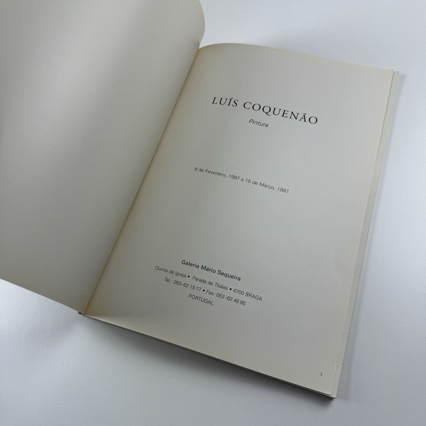 Luís Coquenão. Pintura | Galeria Mário Sequira, Portugal | Exhibition catalogue, 1997
