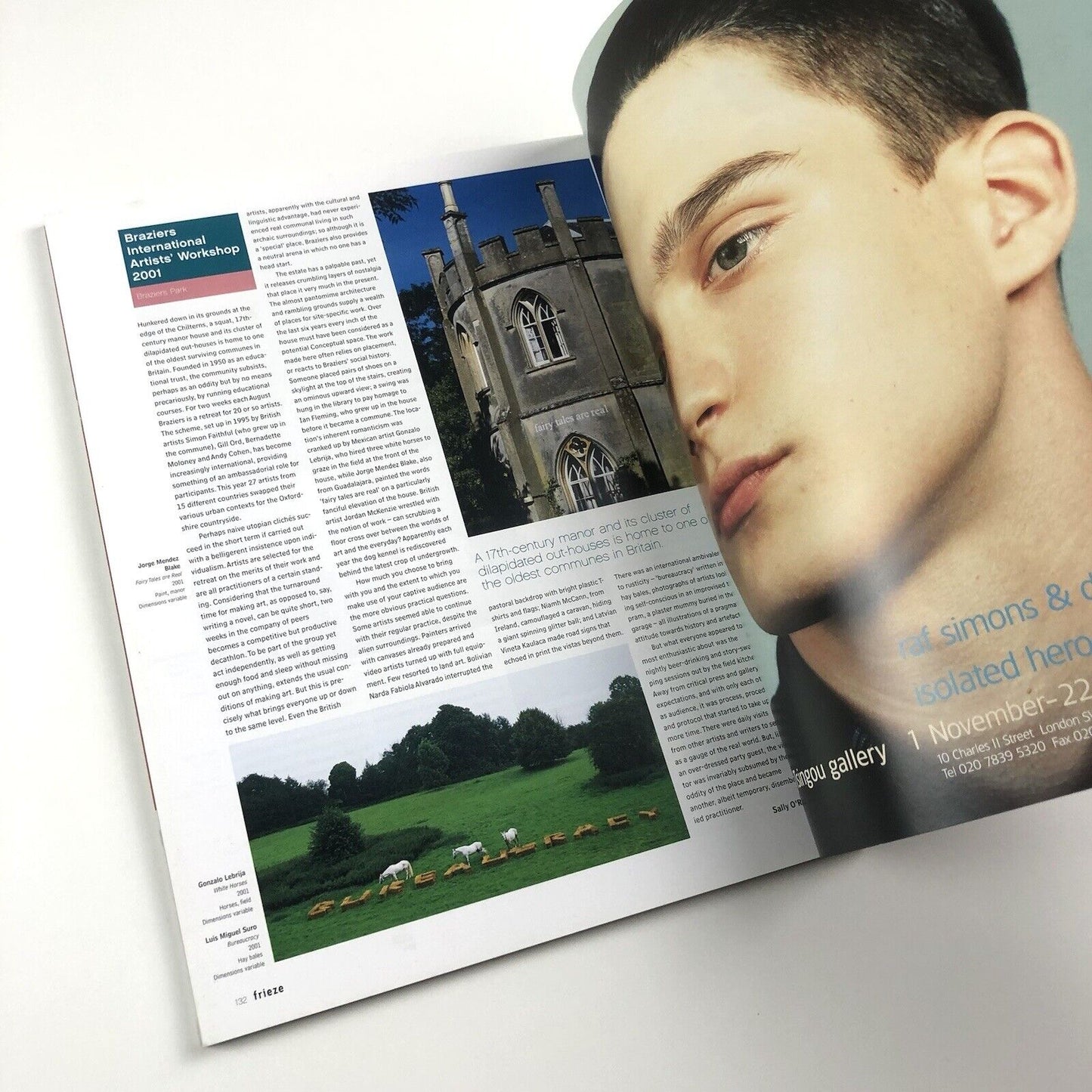 Frieze magazine – Tenth Anniversary issue, November–December 2001