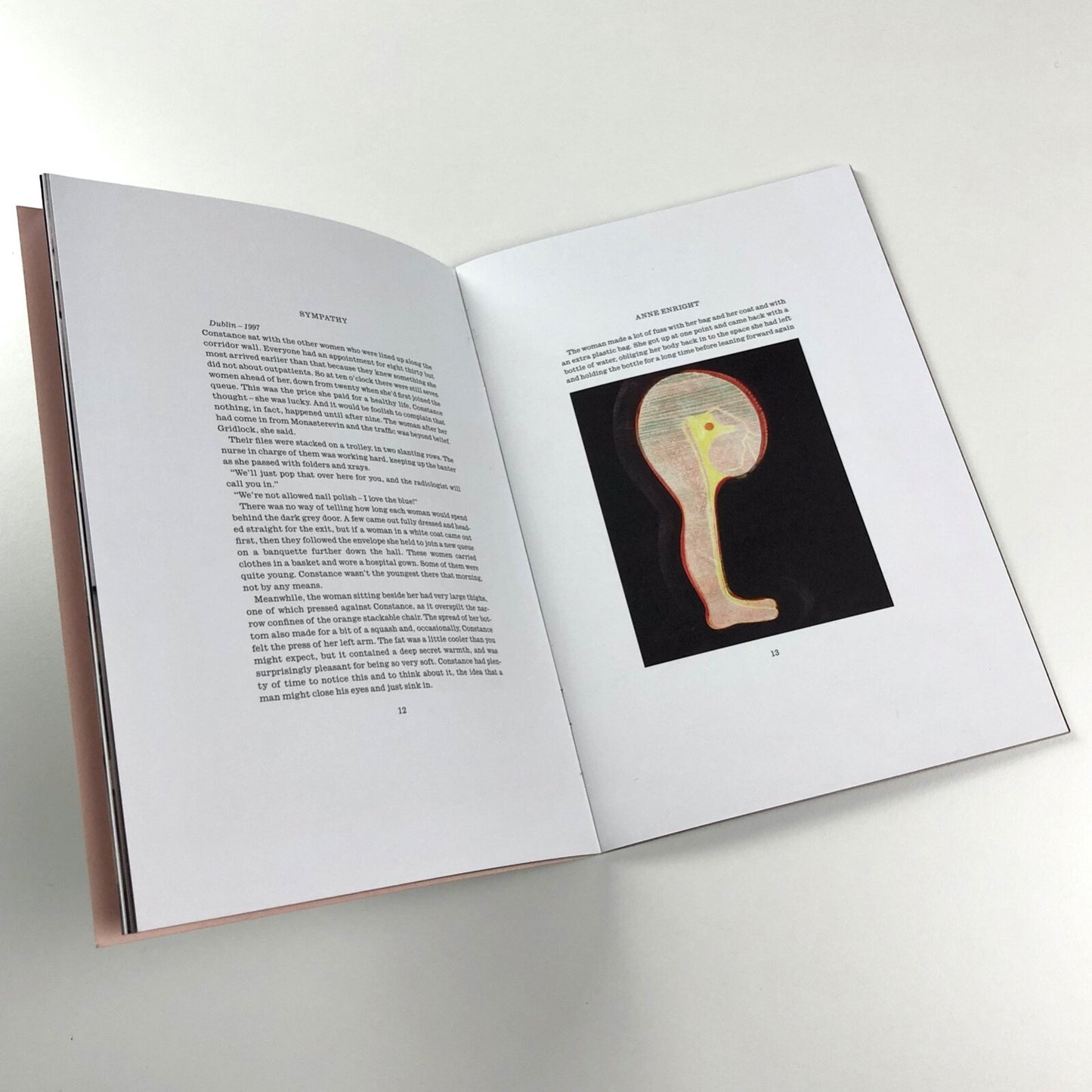Dependent Rational Animals Roxy Walsh and Sally Underwood | Towner Gallery catalogue, 2013