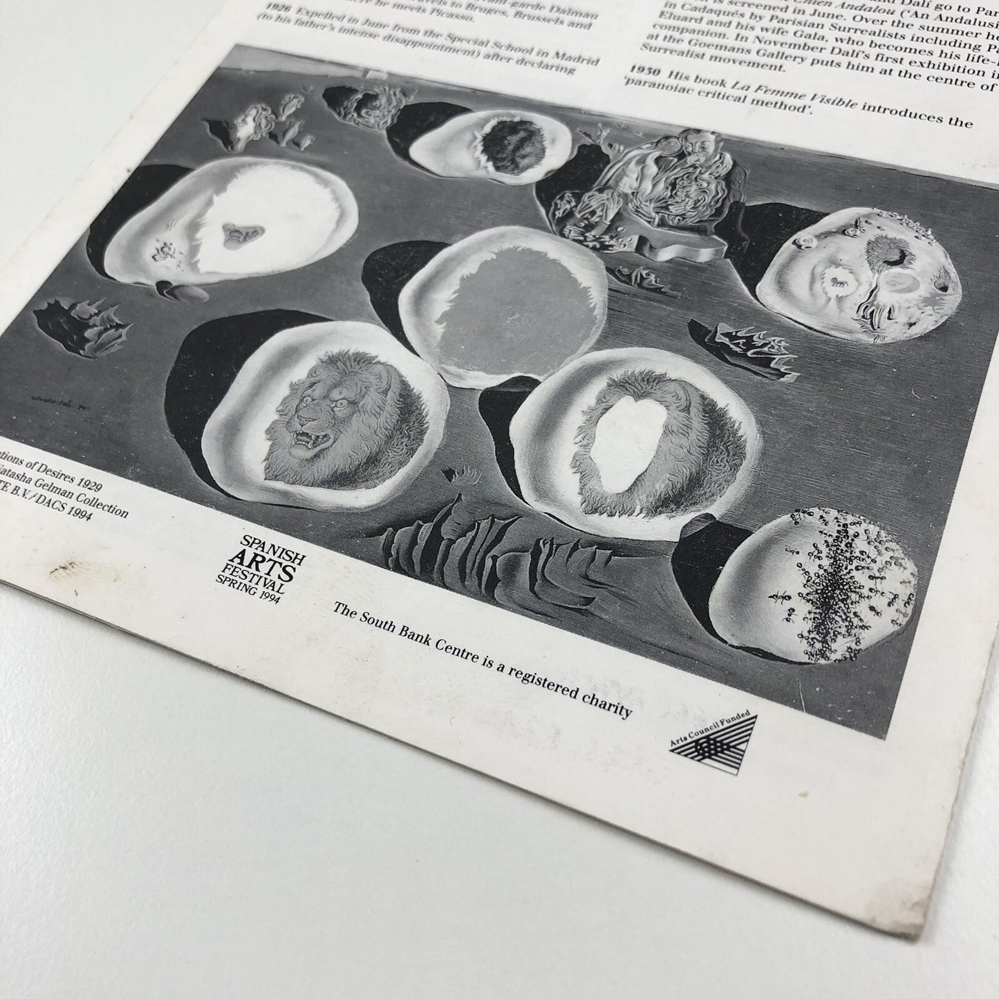 Dalí The early years | exhibition guide to Hayward Gallery 1994