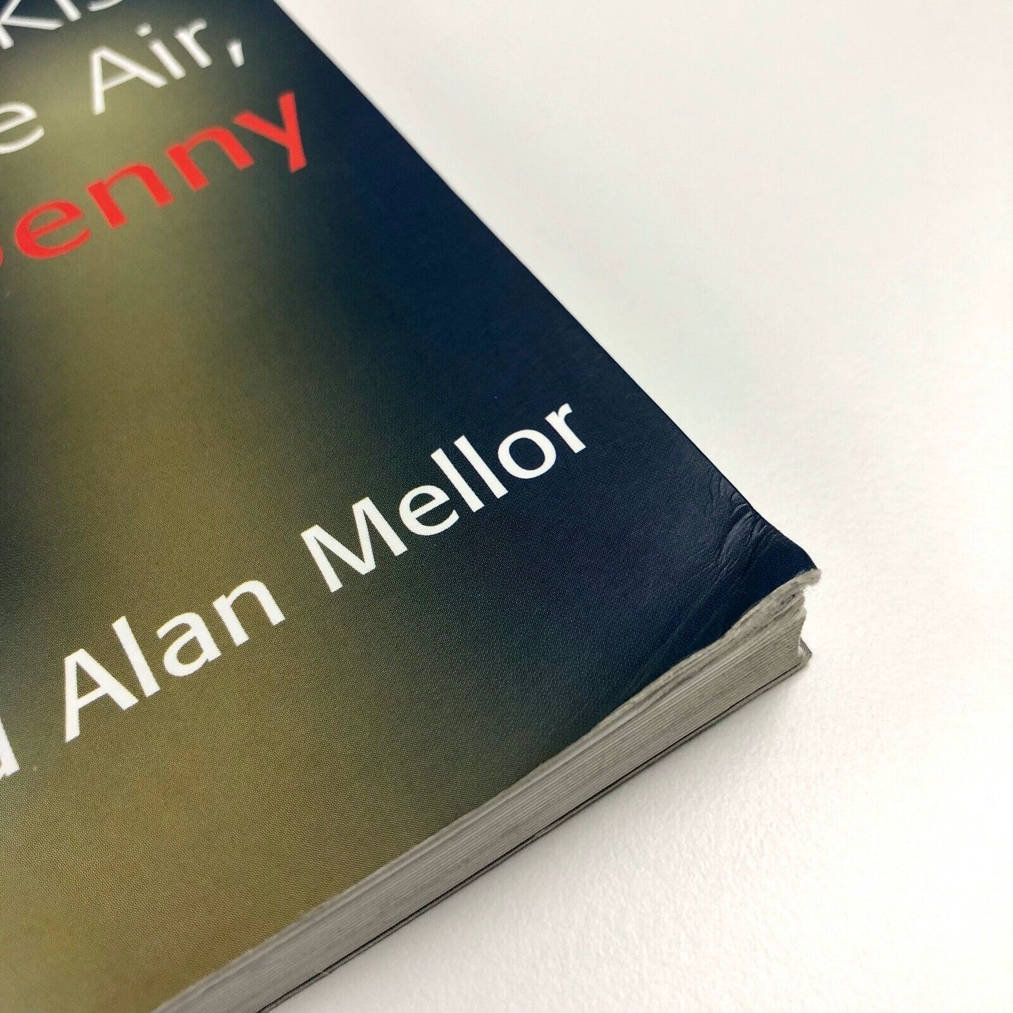 The Art of Robyn Denny by David Alan Mellor | Black Dog Publishing, 2002