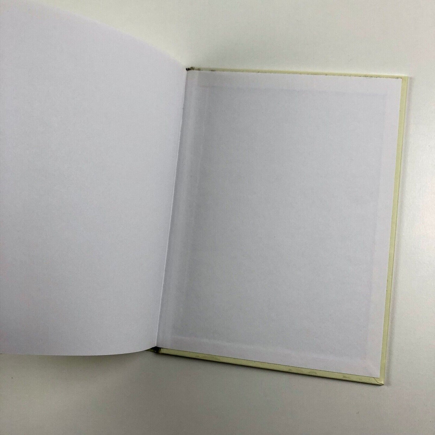 Writing on Drawing: Essays on Drawing Practice and Research | Edited by Steve Garner