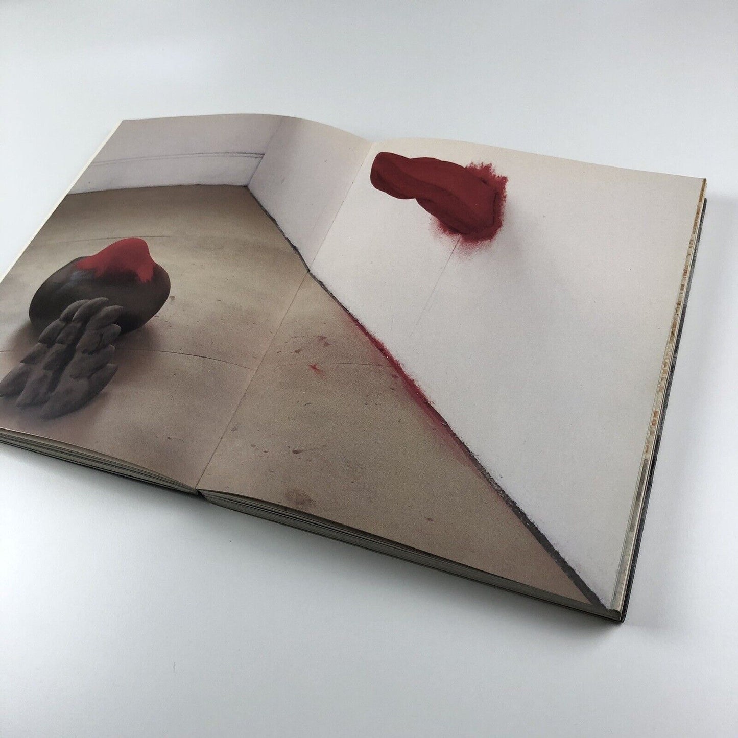 Anish Kapoor by Germano Celant | Edizioni Charta, 1996
