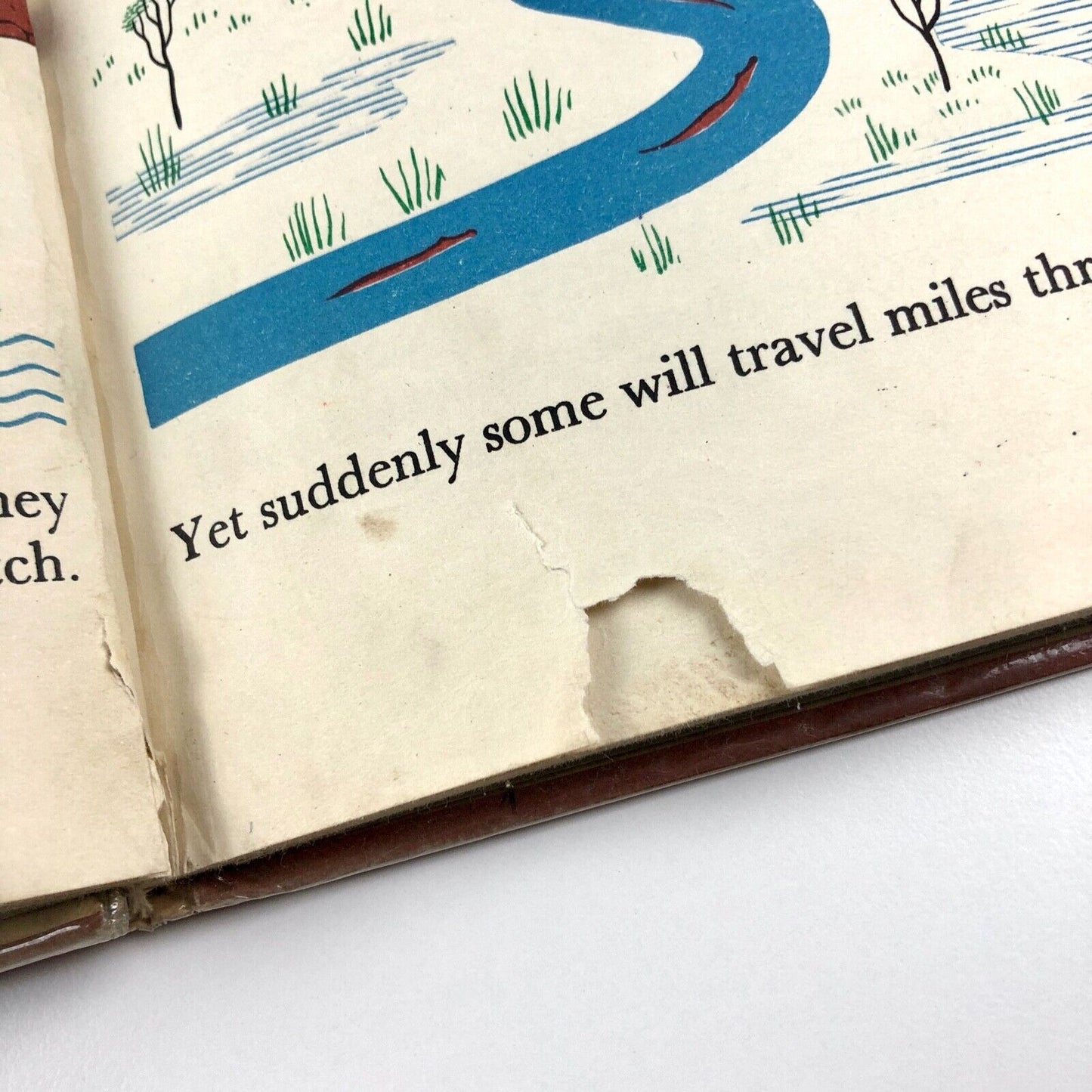 The Wonder World of Nature: Animal Travellers | Marie Neurath / Isotype 1959