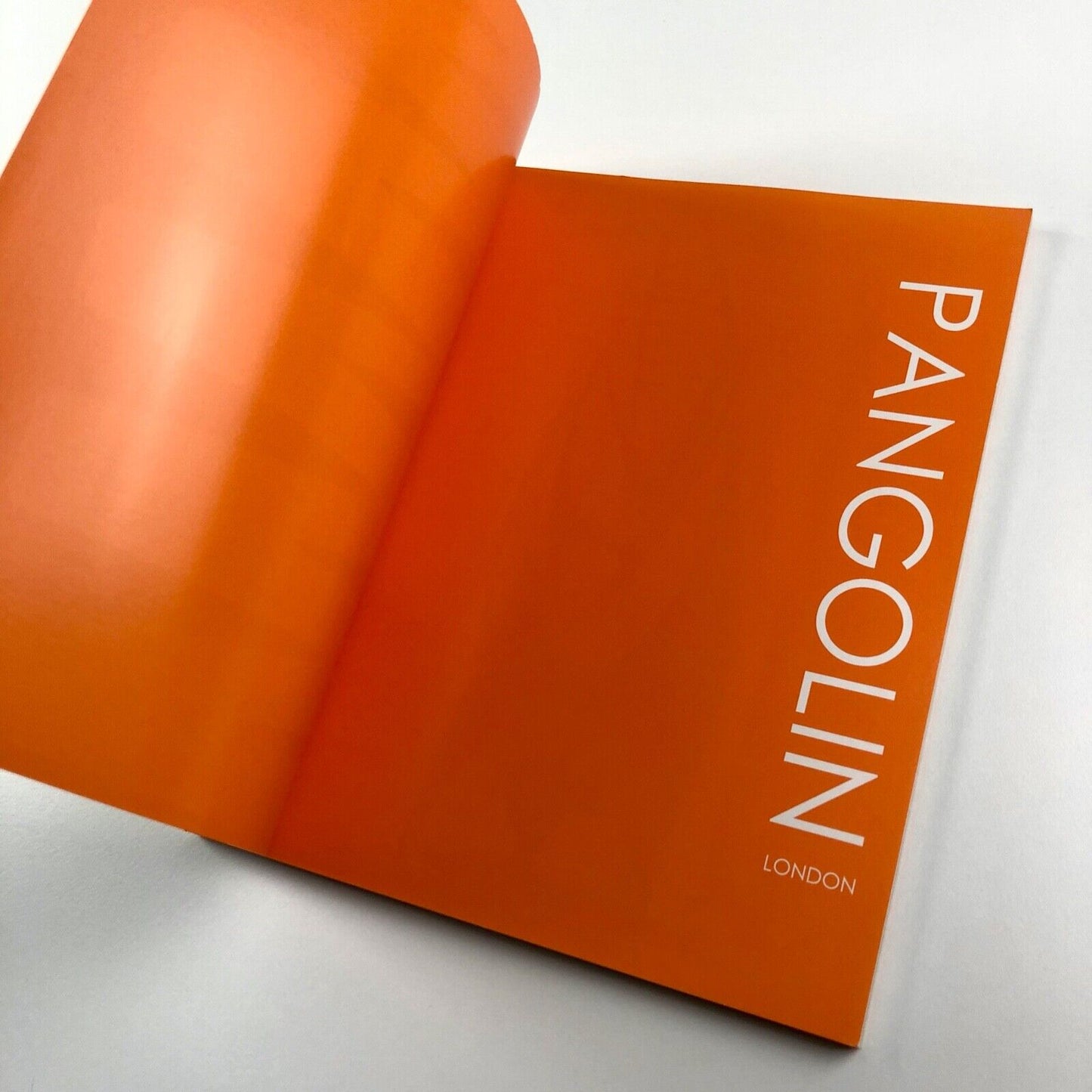 Exorcising the Fear. British Sculpture from the ‘50s and ‘60s | Pangolin, 2012
