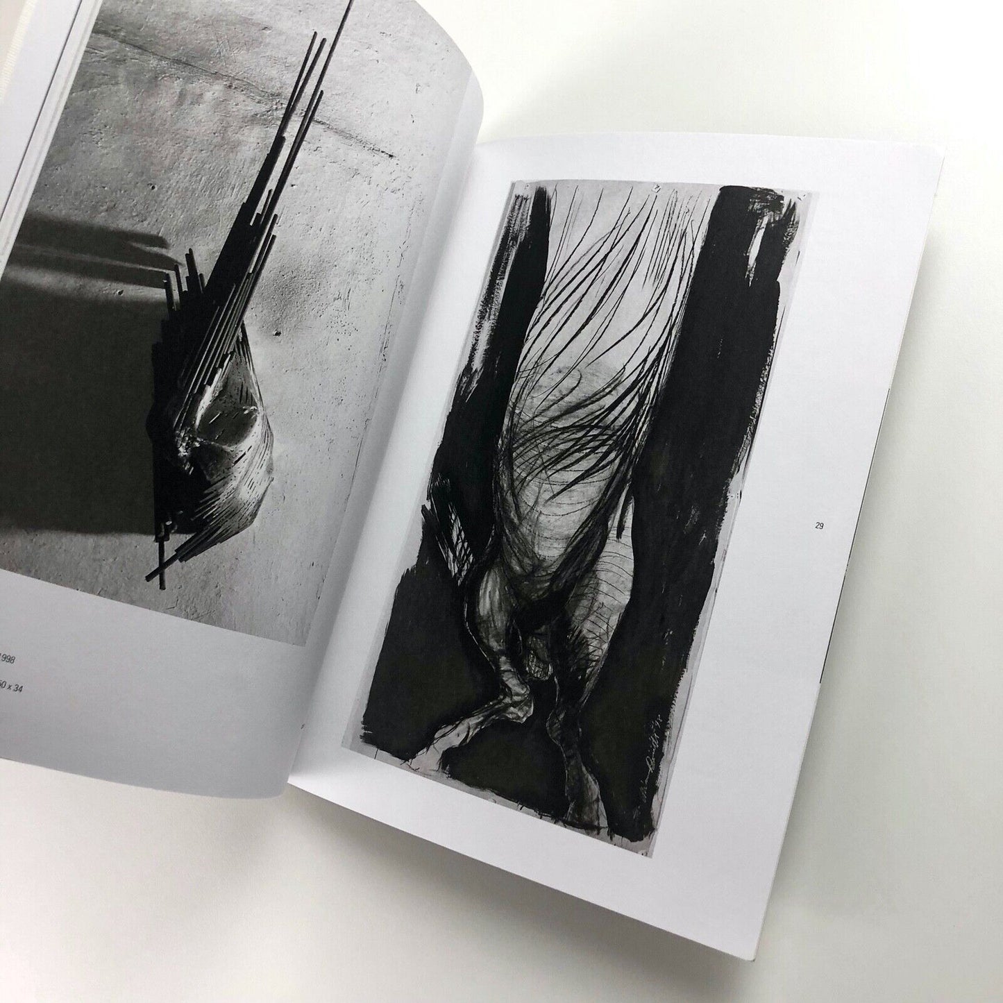 Domenico Borrelli exhibition catalogue | Studio Recalcati, Torino, 1998