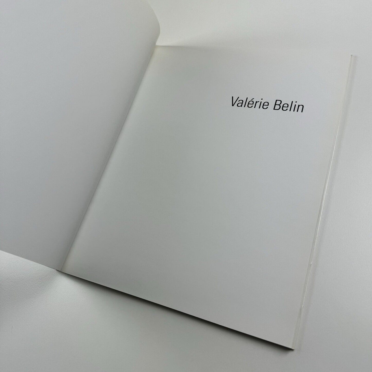 Valérin Belin | Galerie Xippas, Paris 2002
