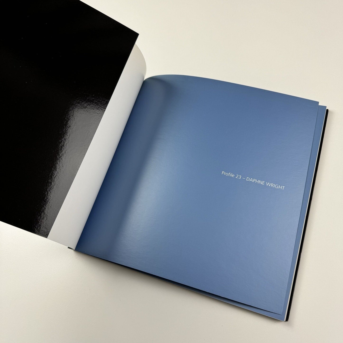 Profile 23. Daphne Wright | Limerick City Gallery of Art | Gandon Editions, 2006