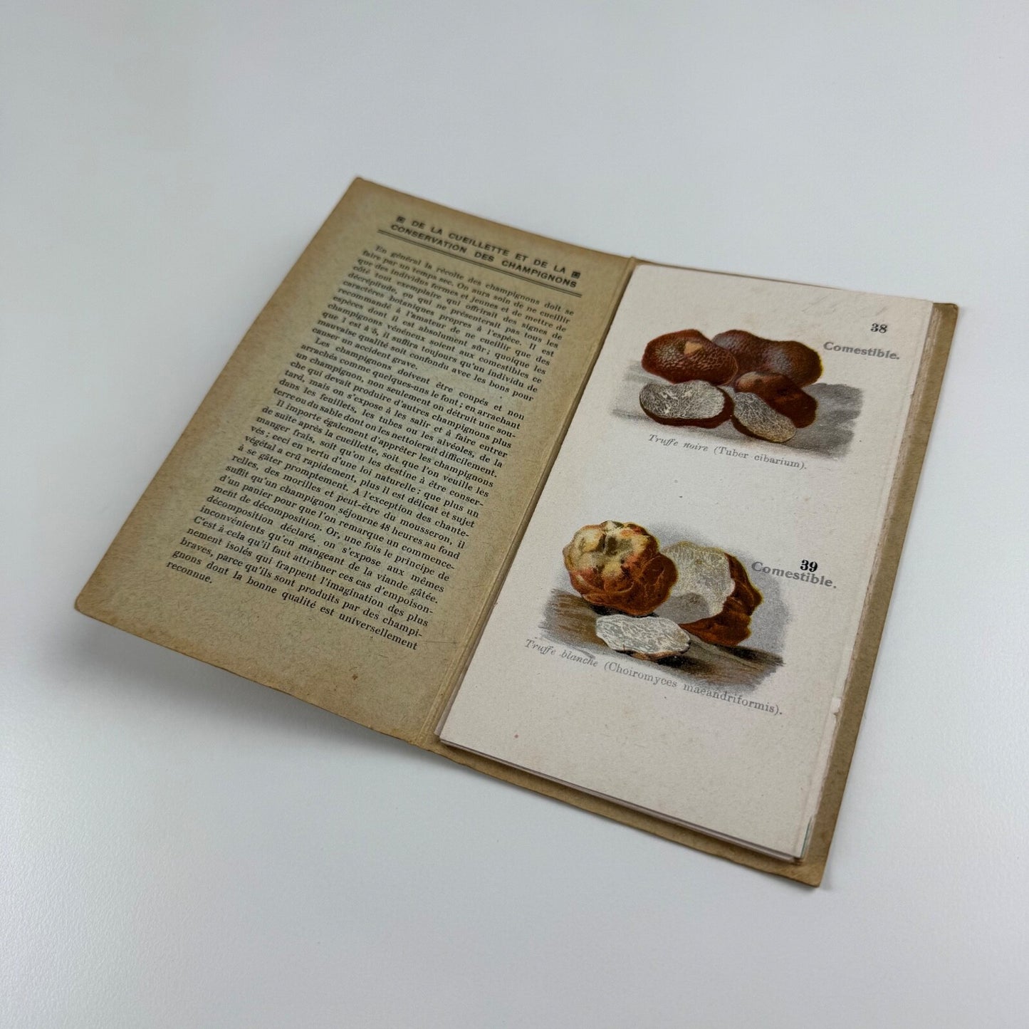 Petit Atlas Des Champignons. Delachaux & Niestlé. Neuchâtel. Undated believed to date from 1900. Text in French. Small pocket sized book with fold out pages
