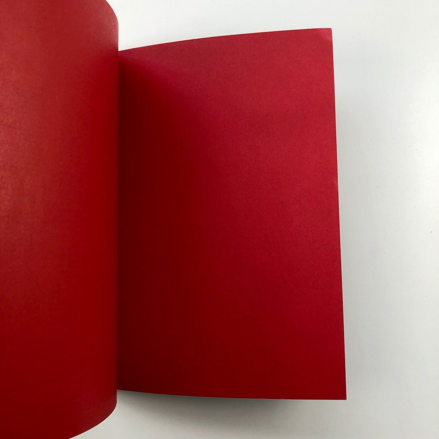 Journal des Arts déco / no. 20-21 | Que sont-ils devenus?