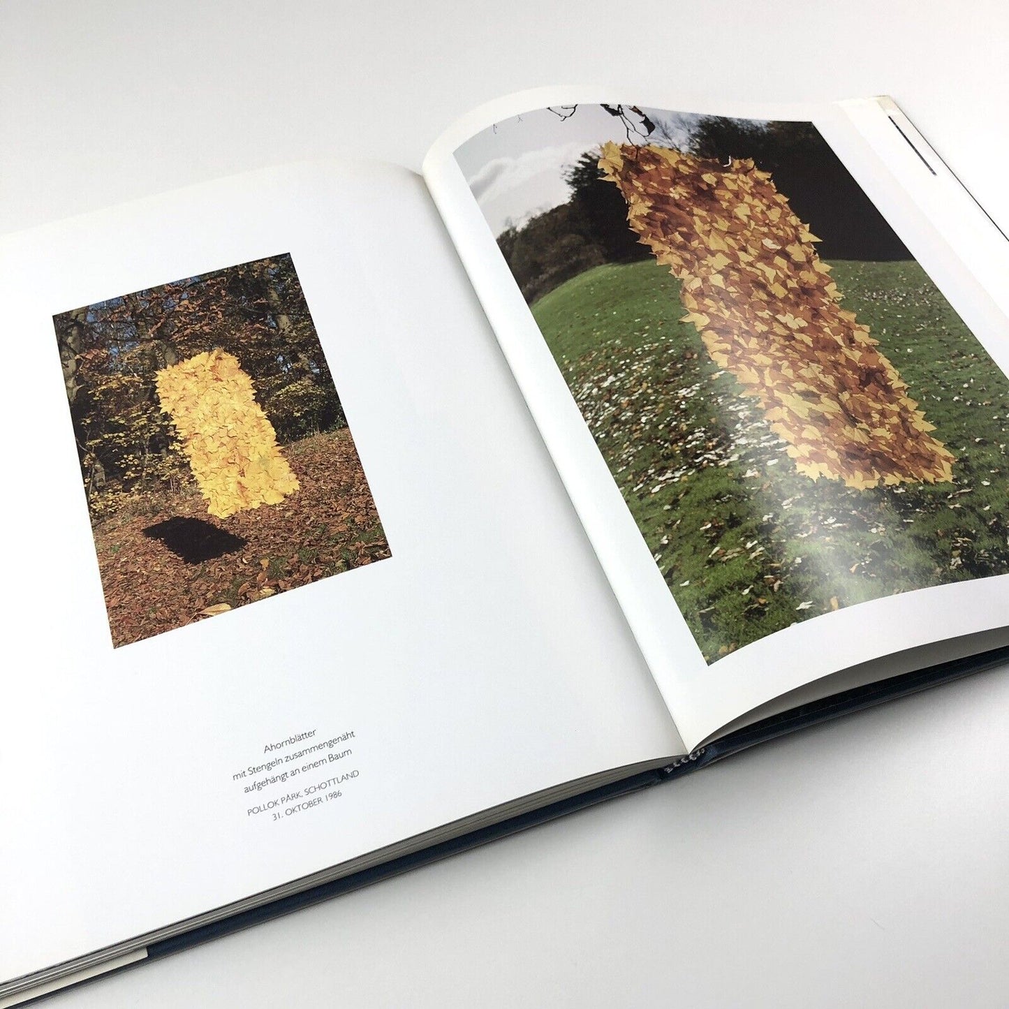 Andy Goldsworthy | Zweitausendeins, 2000