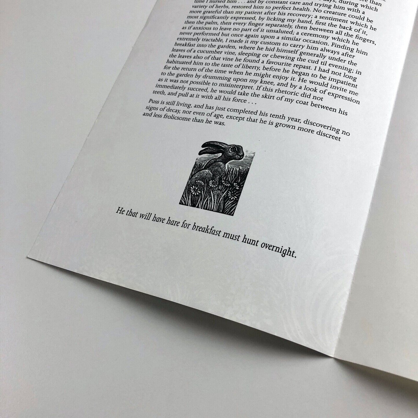 Leaflet to promote A Handful of Hares | Anne Cathcart | Inky Parrot Press, 2009