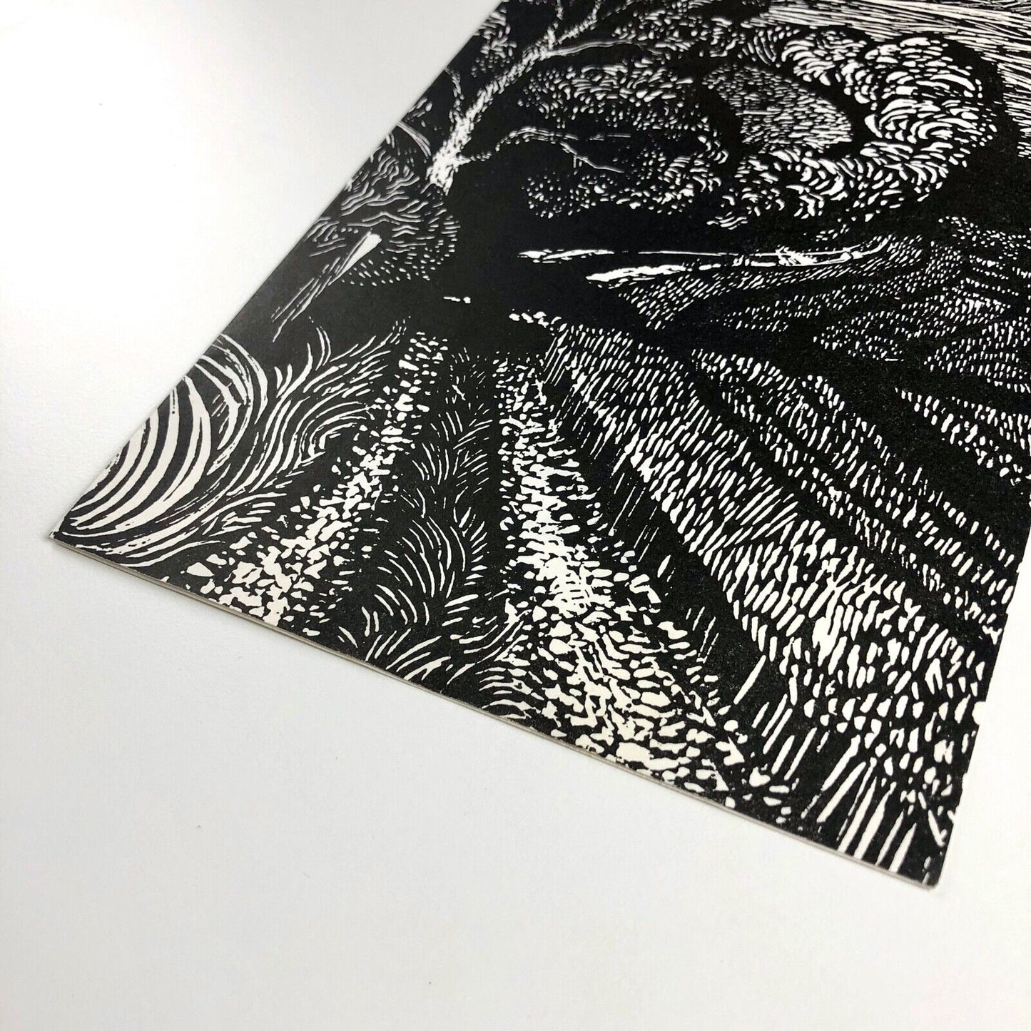 Leaflet to promote A Handful of Hares | Anne Cathcart | Inky Parrot Press, 2009