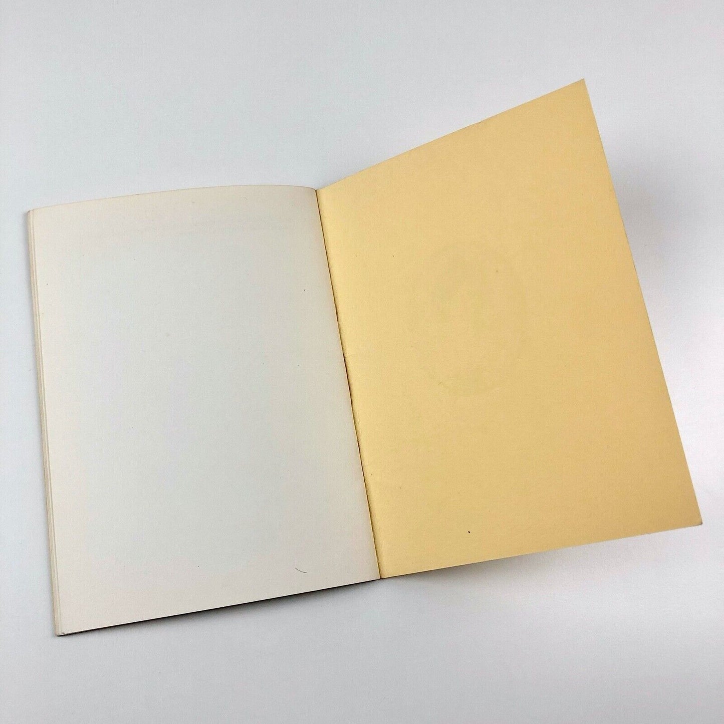 The Pleasures of Colour Printing: Biography of Thomas Griffits | Caroline Hawkes, 1977