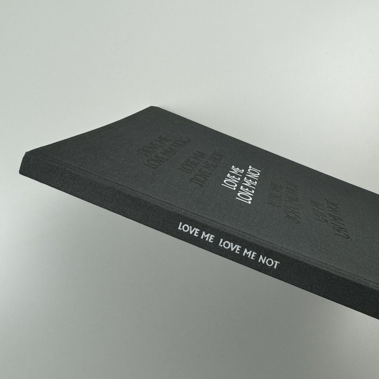 Love me love me not – Contemporary Art from Azerbaijan and its Neighbours, 2013 catalogue