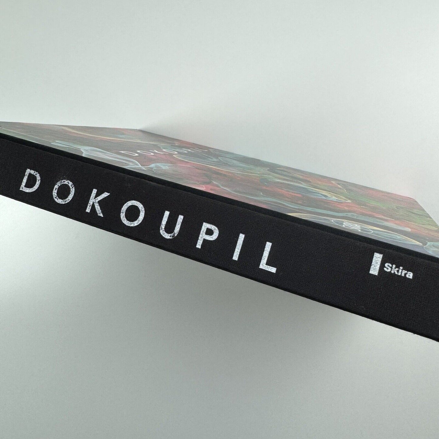 Jiri Dokoupil by Opuku Reiner | Skira, 2018