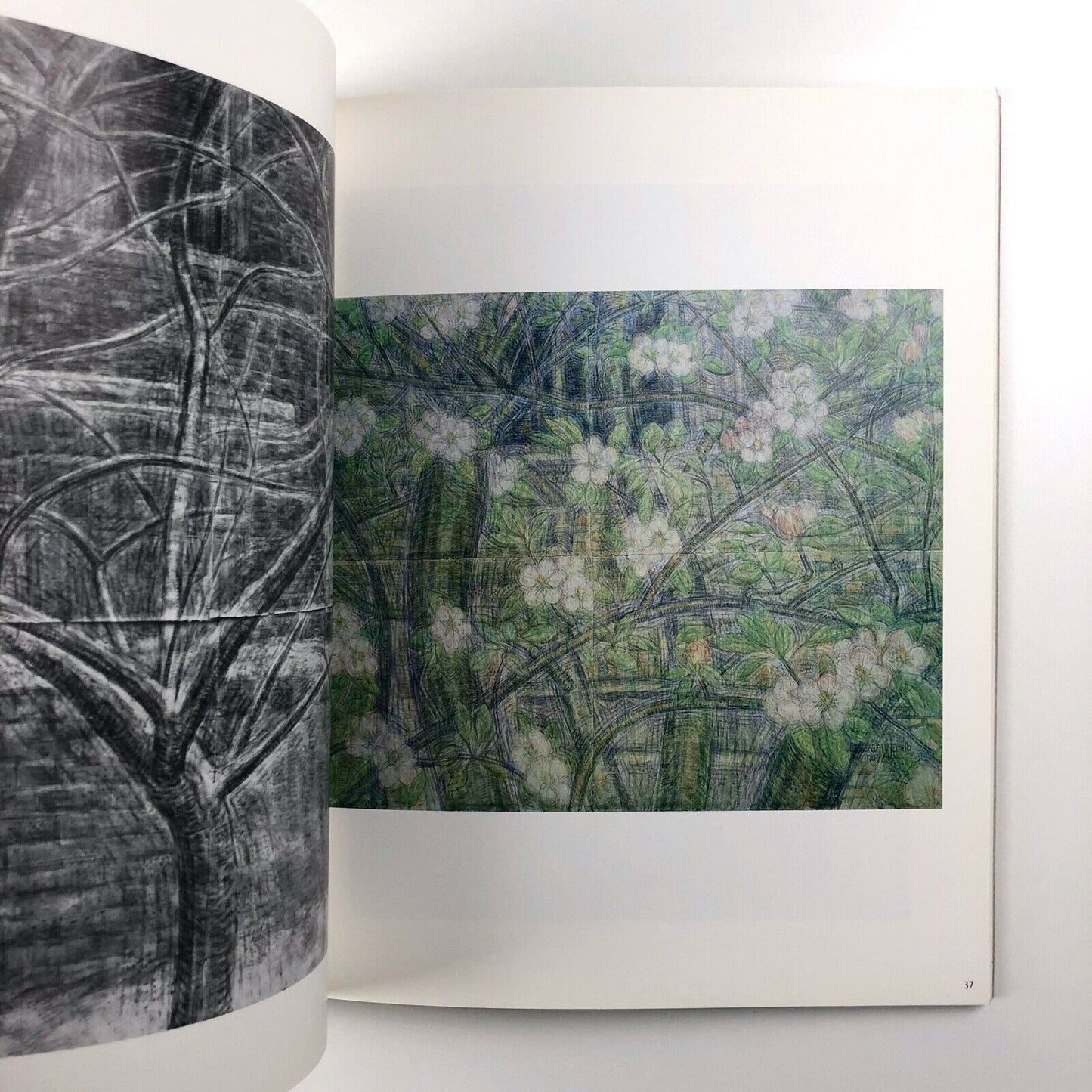 Leonard McComb: Drawings Paintings Sculpture exhibition | The Arts Council catalogue booklet, 1983