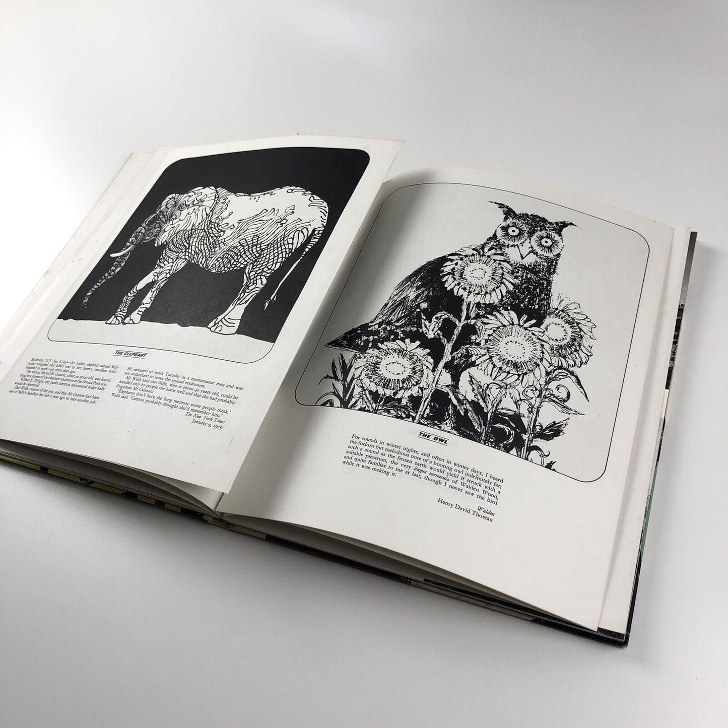 Motif 7 Journal Summer 1961 | Edited by Ruari McLean | The Shenval press