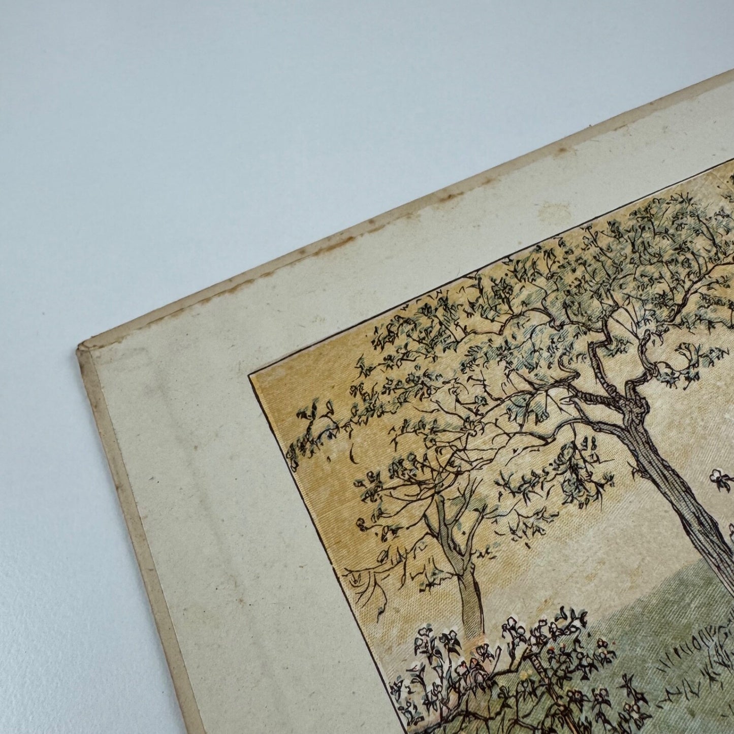The Great Panjandrum Himself by Randolph Caldecott. R. Caldecott’s Picture Books, Frederick Warne and Co. Undated.