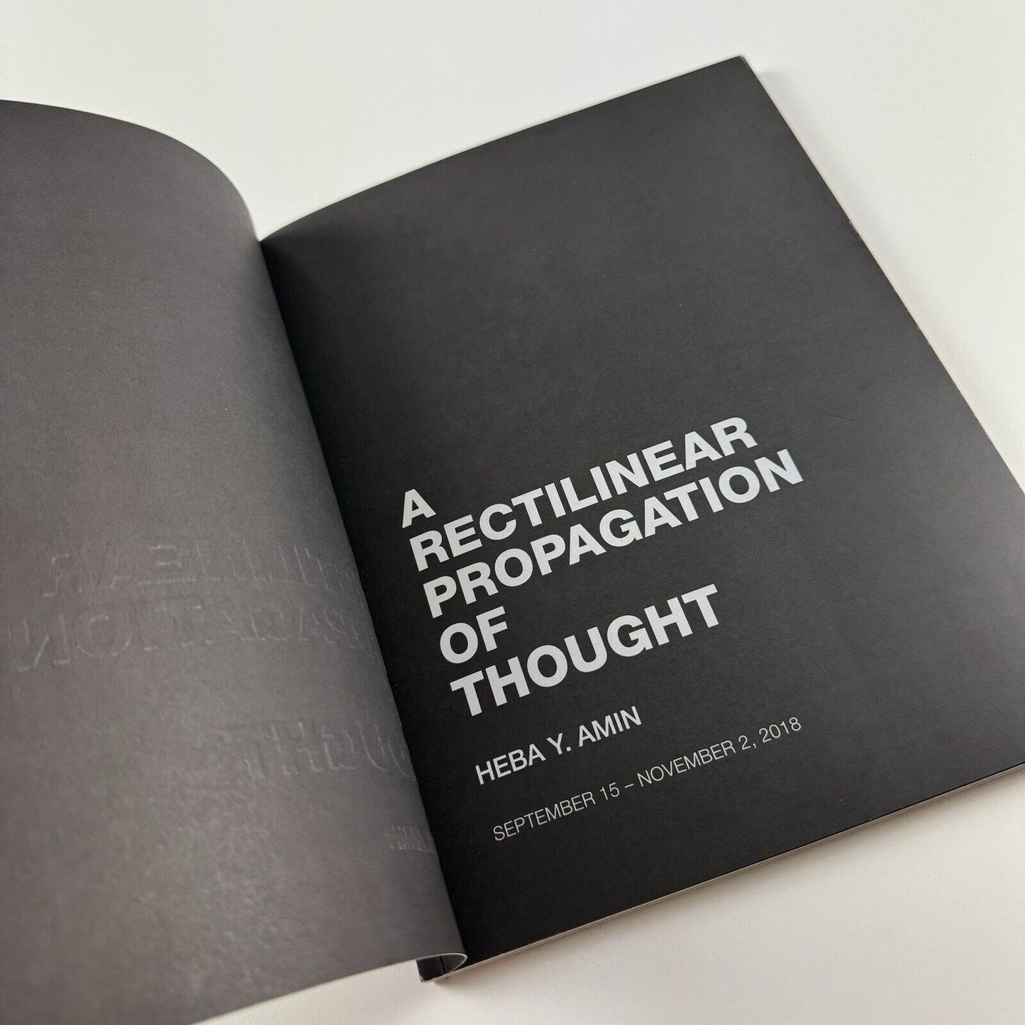 A Rectilinear Propagation of Thought: Heba Y. Amin | Zilberman Gallery catalogue, 2018