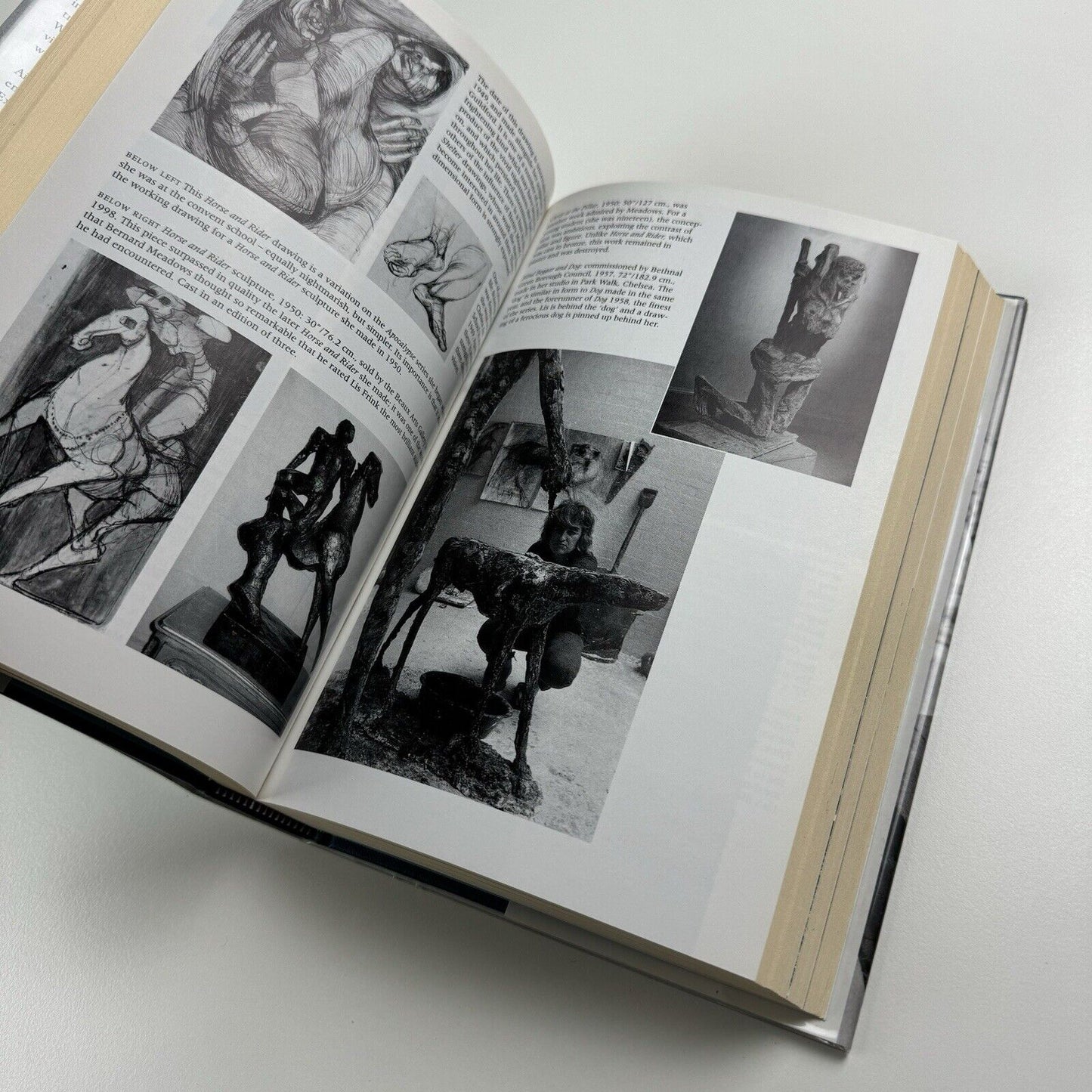 Elisabeth Frink. The official biography by Stephen Gardiner | Harper Collins, 1998