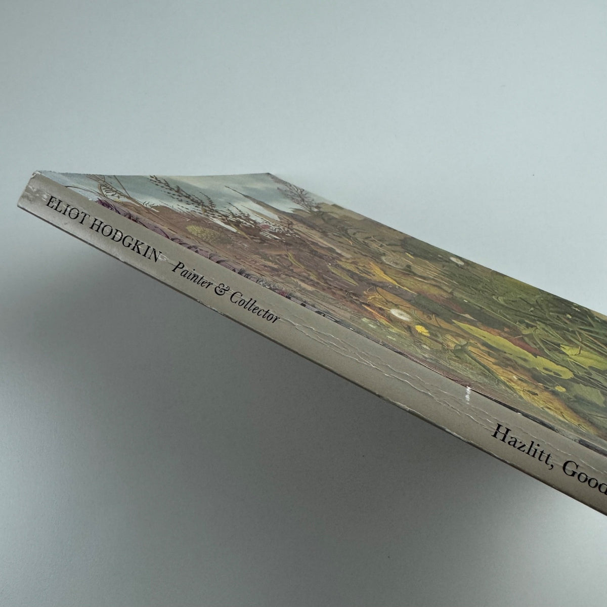 Eliot Hodgkin 1905-1987. Painter & Collector | Hazlitt, Gooden & Fox, 1990
