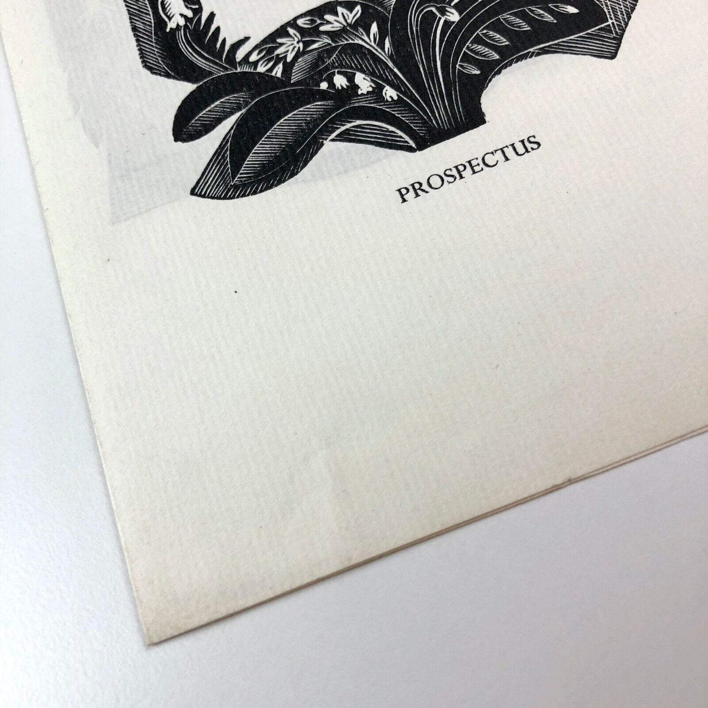 Golden Cockerel Press | 'Here's Flowers' by Joan Rutter prospectus, 1937 | Wood engravings by John O'Connor