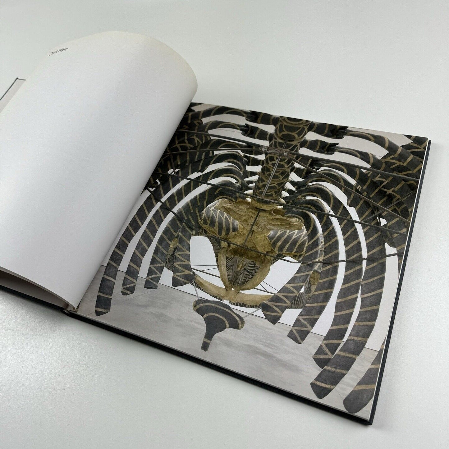 Gabriel Orozco. Twelve Paintings and a Drawing | White Cube, 2006
