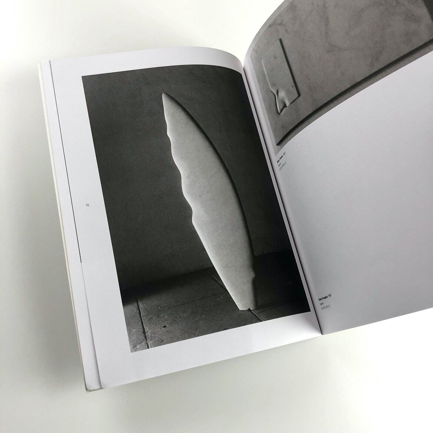Domenico Borrelli exhibition catalogue | Studio Recalcati, Torino, 1998