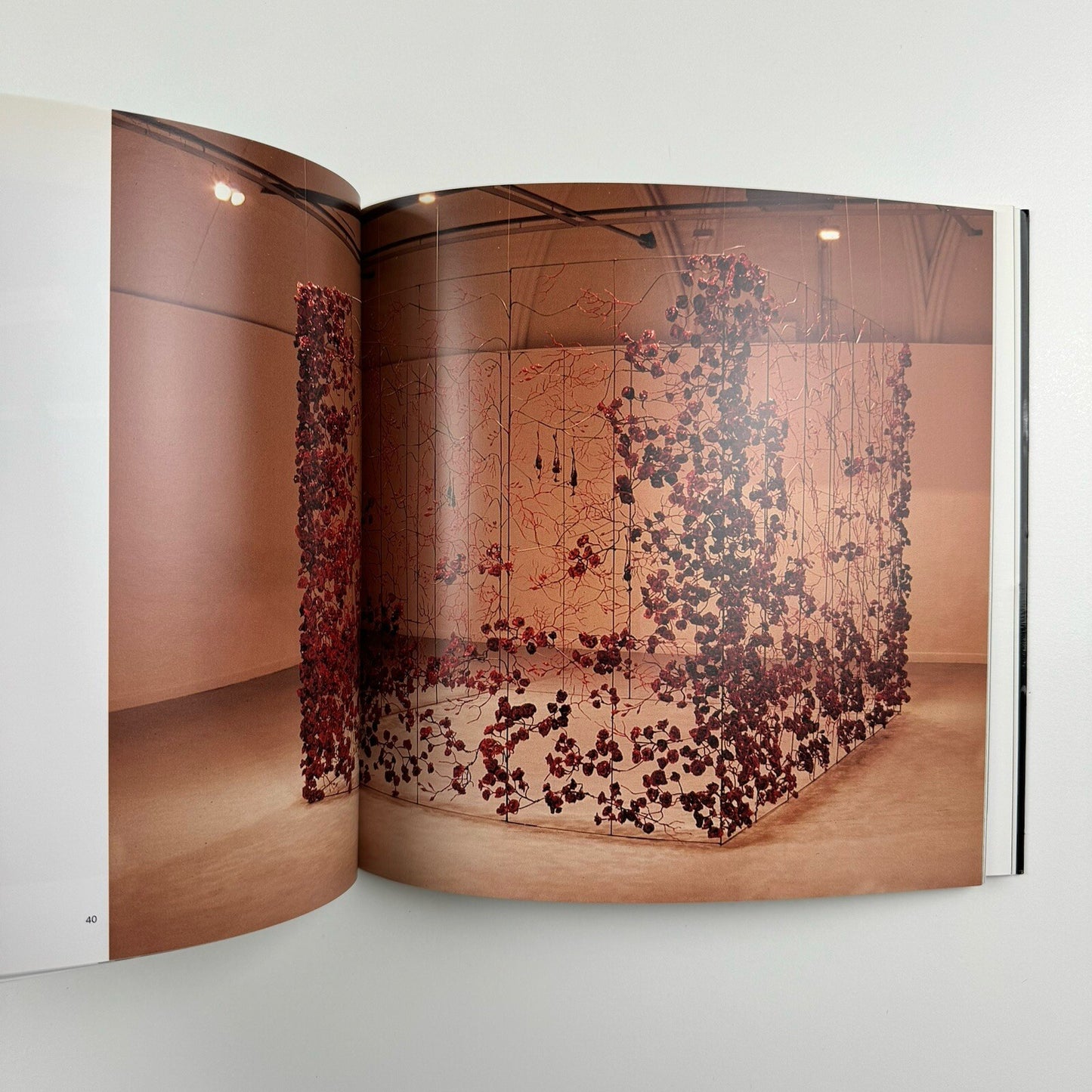 Profile 23. Daphne Wright | Limerick City Gallery of Art | Gandon Editions, 2006