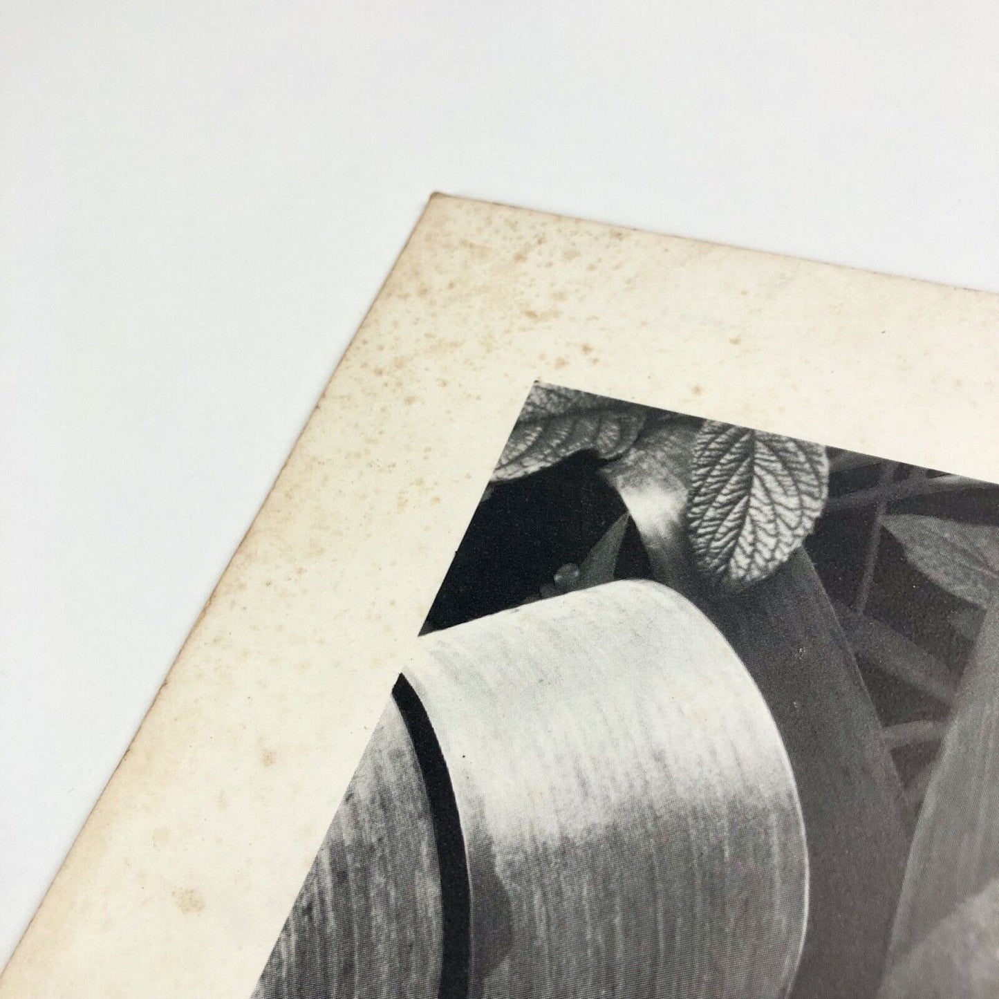 Paul Strand a retrospective exhibition of his photographs 1915-68 | National Portrait Gallery | Arts Council, 1976