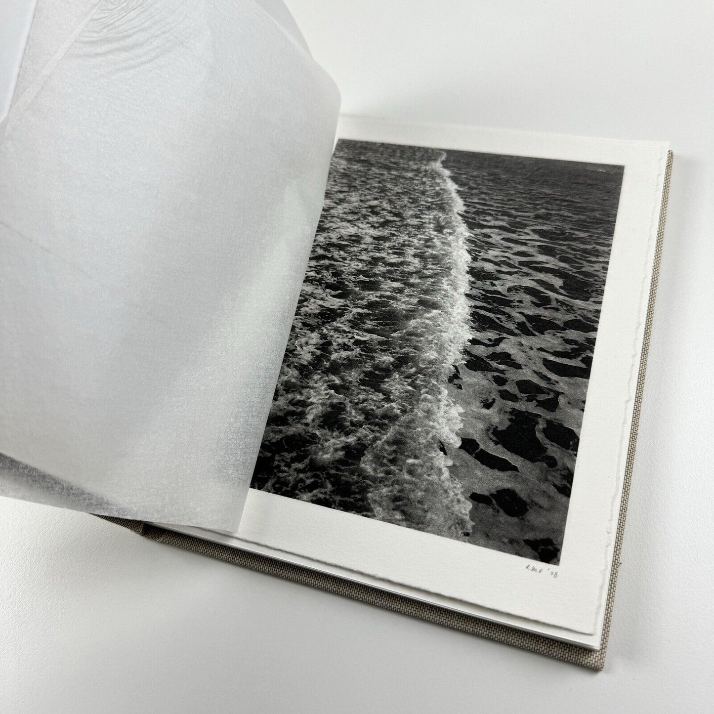 Richard Forster / Michael Gracewell | Ingleby Gallery catalogue, 2008 | Signed