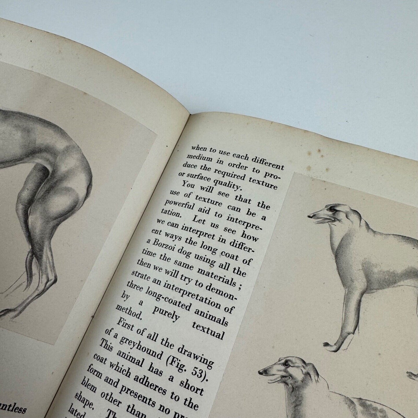 Animal Drawing by John Skeaping. No. 10 The Studio How to do it series 1944 reprinted edition