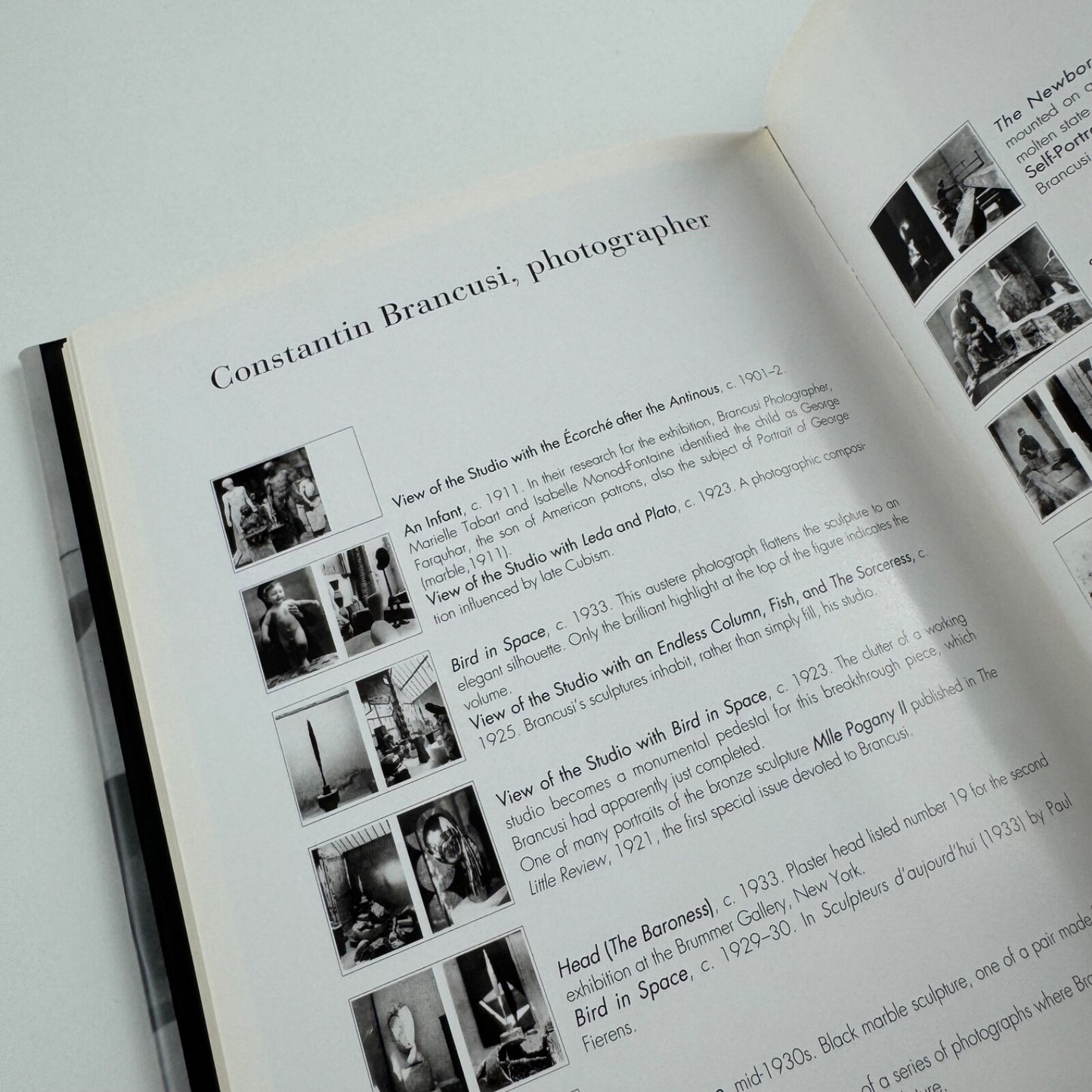 Brancusi Photographs by Elizabeth A. Brown | Thames & Hudson, 1995
