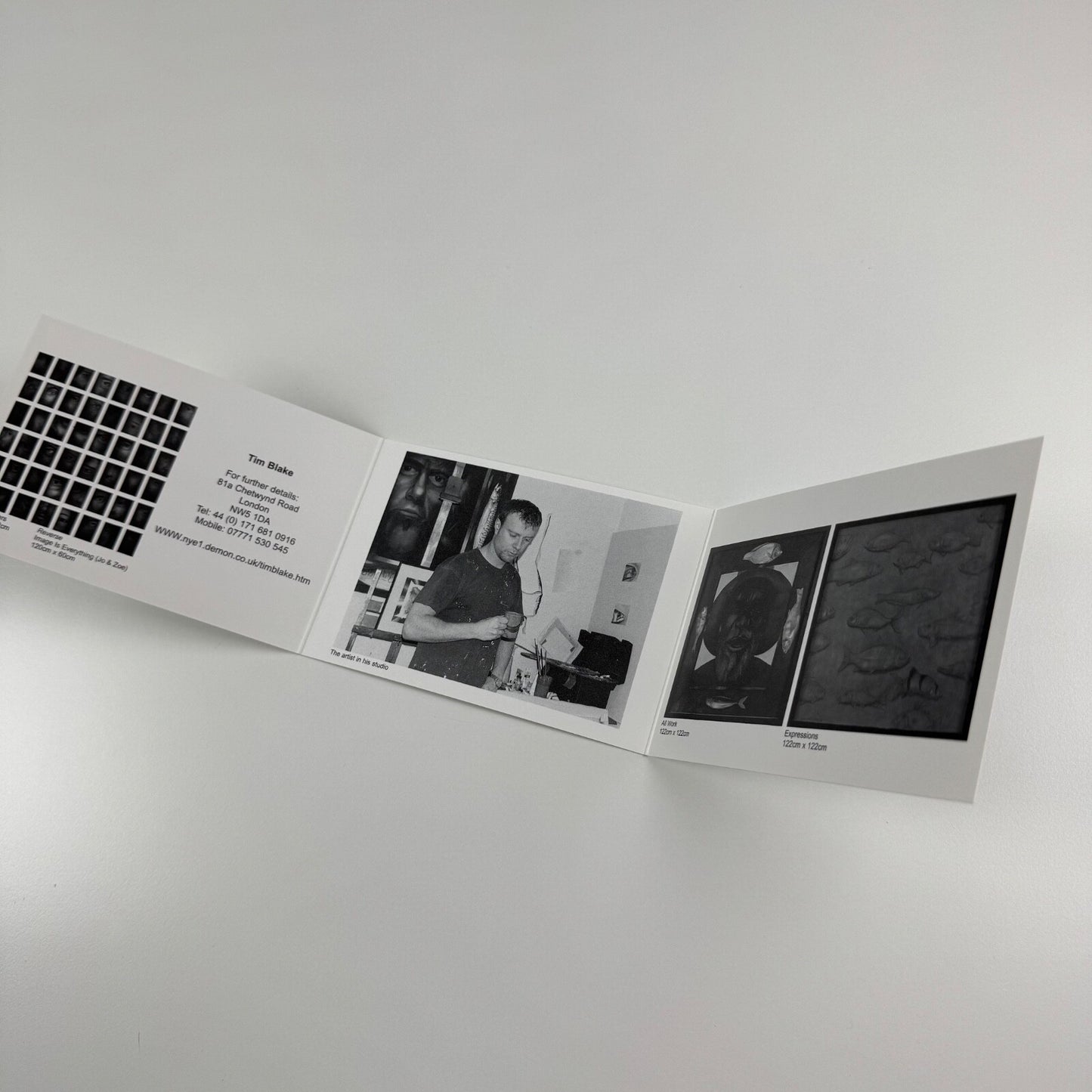 Promotional fold out card for Tim Blake Paintings, undated
