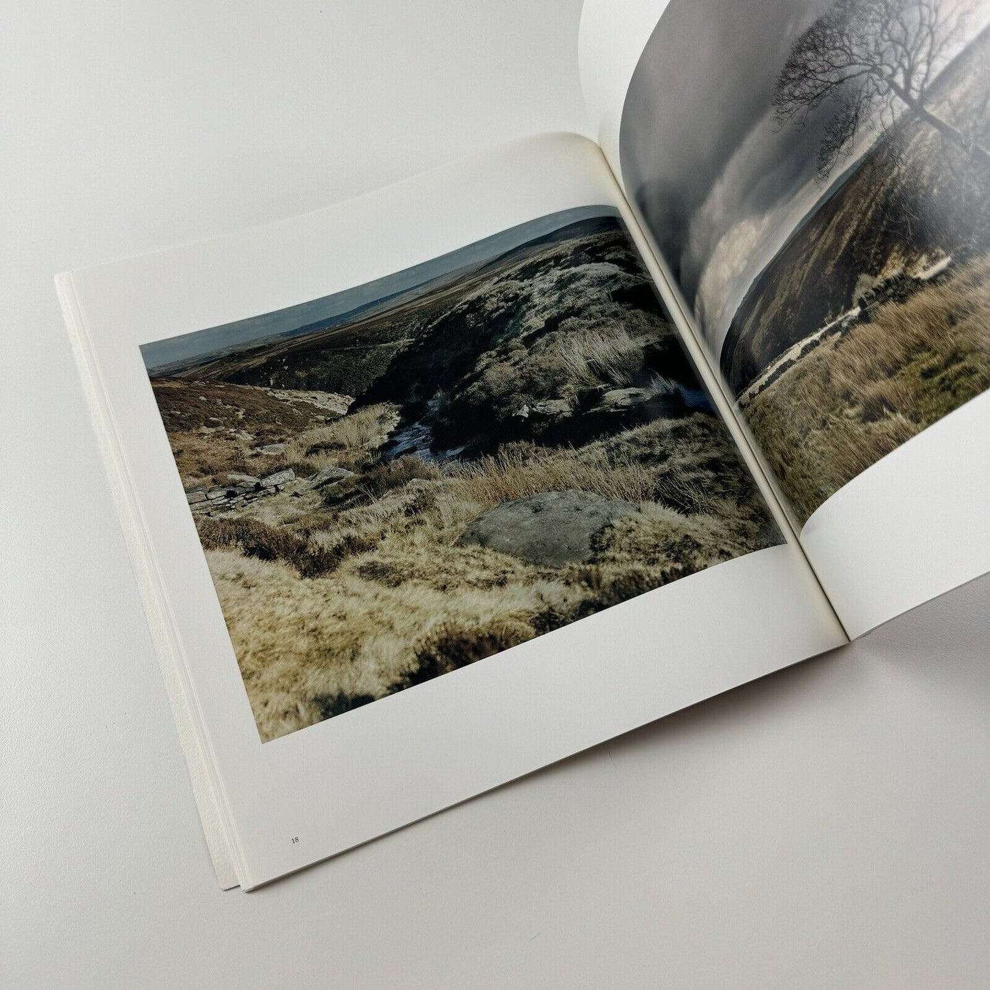 Sam Taylor-Wood – Yes I No. | White Cube catalogue, 2008