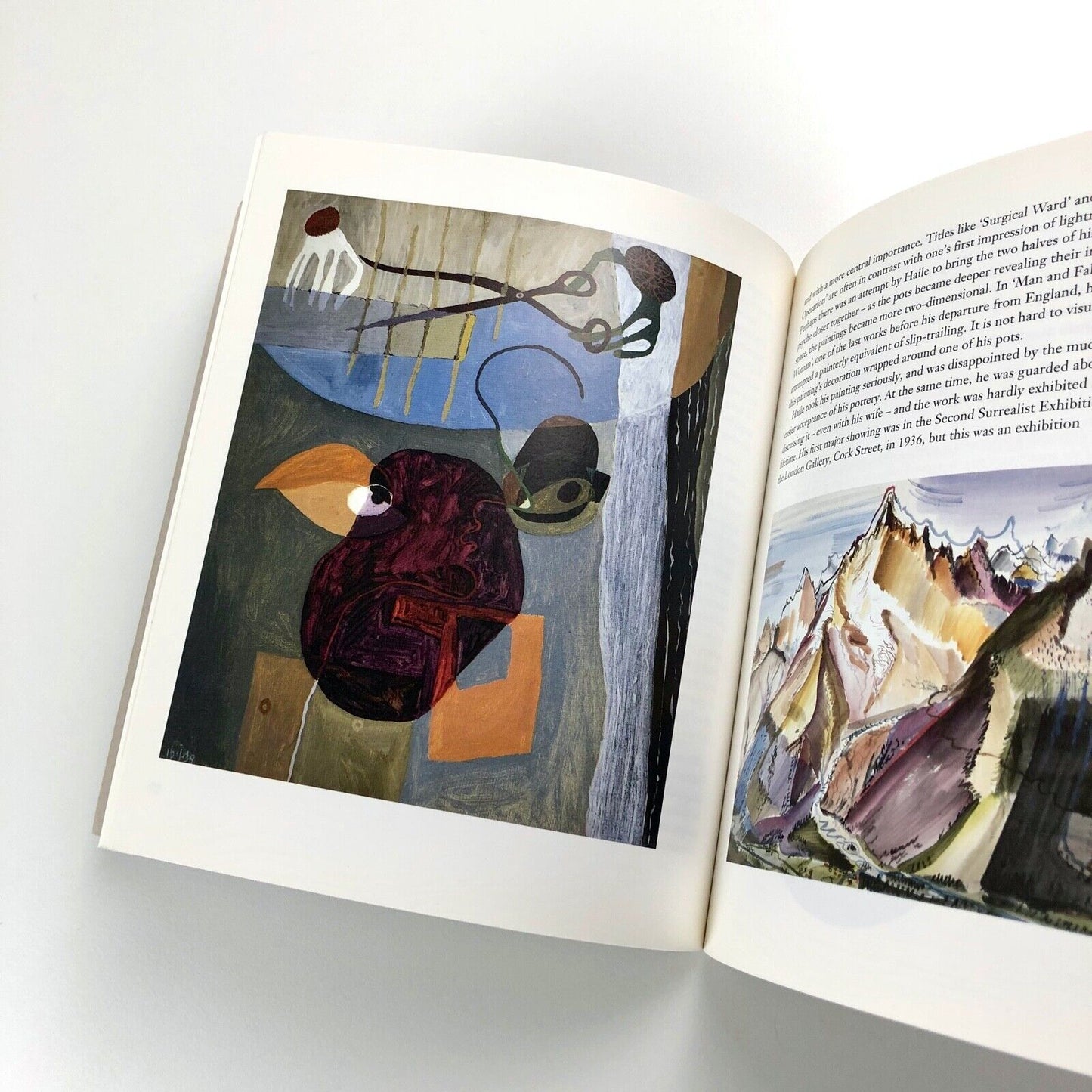 Sam Haile potter and painter (1909-1948) ed. Harry Hepton | Contributions by Paul Rice, Marianne Haile, Victor Margrie, Eugene Dana | Bellew Publishing, 1993