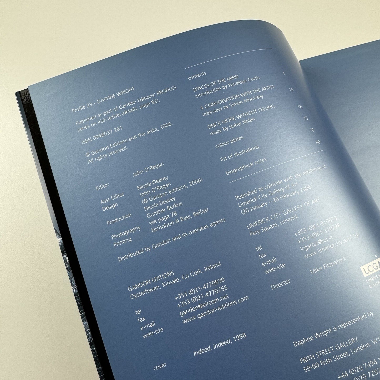 Profile 23. Daphne Wright | Limerick City Gallery of Art | Gandon Editions, 2006