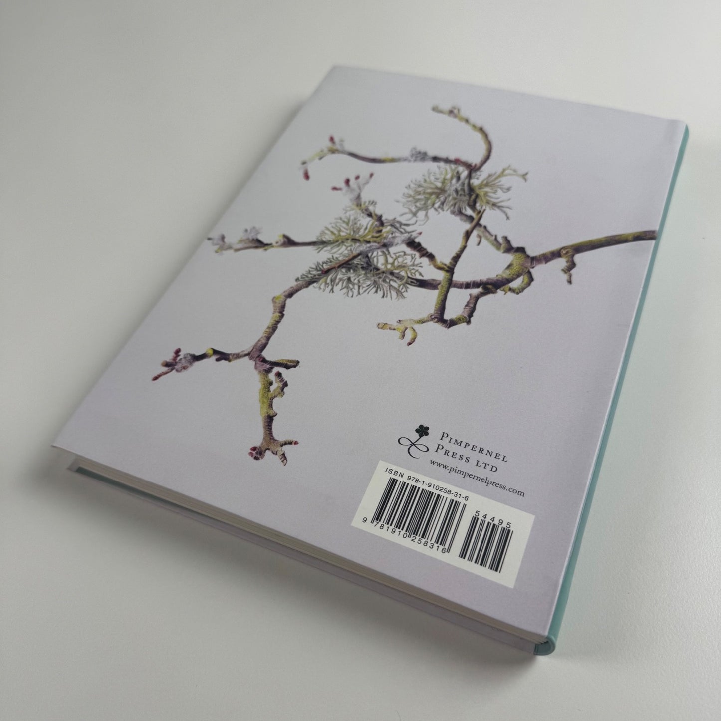 Thinking the Plant. The watercolour drawings of Rebecca John | Pimpernel Press, 2020