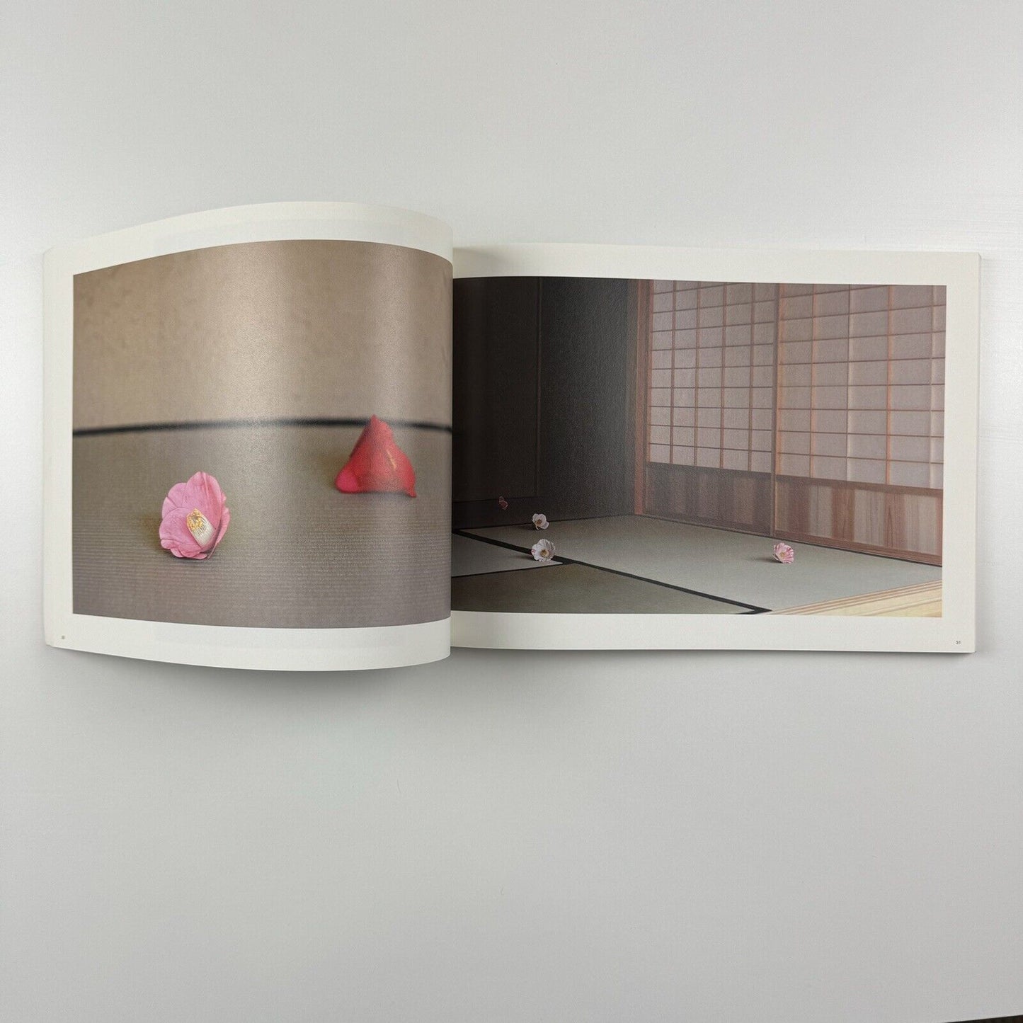 Naoshima Standard 2 | Naoshima Fukutake Art Museum Fondation, 2007