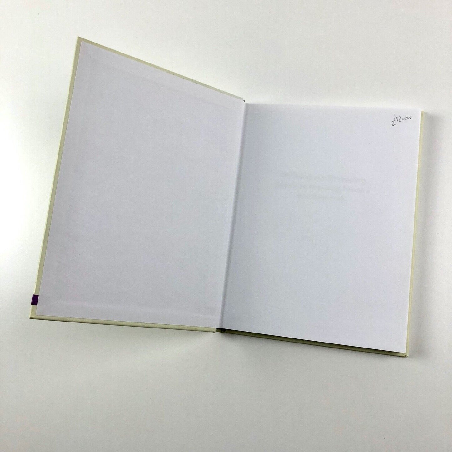 Writing on Drawing: Essays on Drawing Practice and Research | Edited by Steve Garner