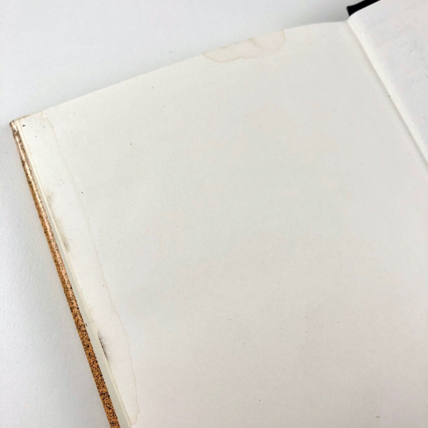 Théophile Gautier – a Romantic Critic of the Visual Arts by Robert Snell | 1982