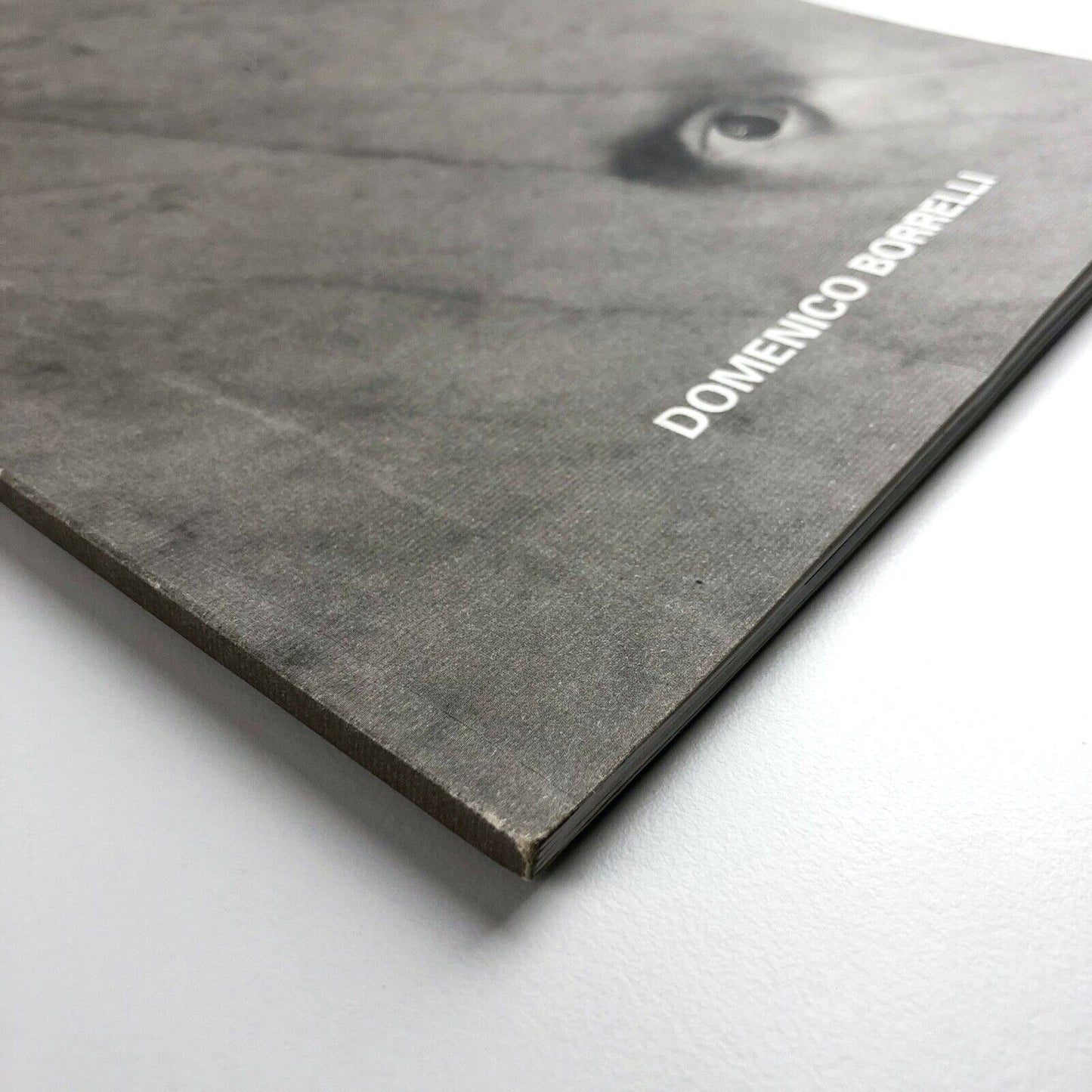 Domenico Borrelli exhibition catalogue | Studio Recalcati, Torino, 1998